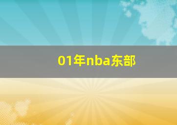 01年nba东部