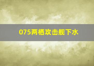 075两栖攻击舰下水