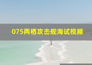 075两栖攻击舰海试视频