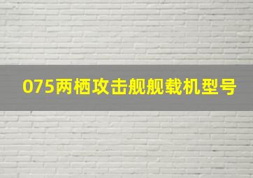 075两栖攻击舰舰载机型号