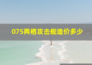 075两栖攻击舰造价多少