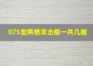 075型两栖攻击舰一共几艘