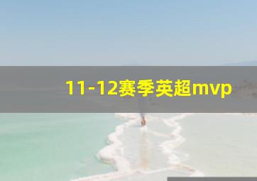 11-12赛季英超mvp