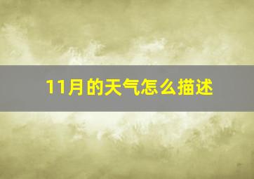 11月的天气怎么描述