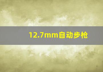 12.7mm自动步枪