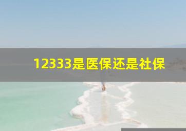 12333是医保还是社保