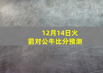 12月14日火箭对公牛比分预测