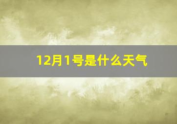 12月1号是什么天气