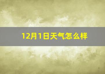 12月1日天气怎么样