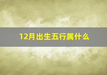 12月出生五行属什么