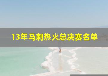 13年马刺热火总决赛名单