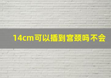 14cm可以插到宫颈吗不会