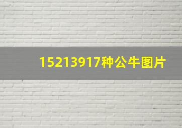 15213917种公牛图片