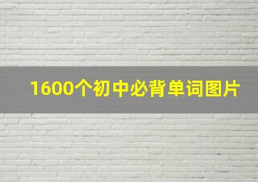 1600个初中必背单词图片