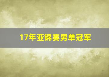 17年亚锦赛男单冠军