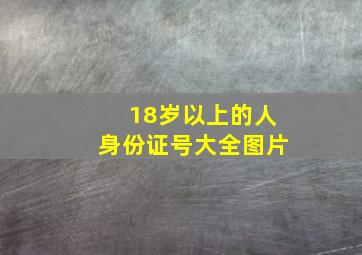 18岁以上的人身份证号大全图片