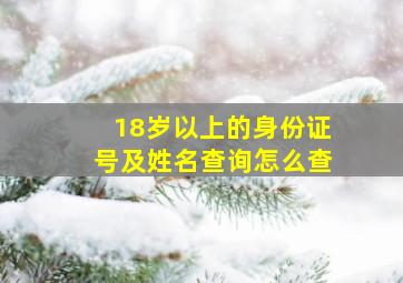 18岁以上的身份证号及姓名查询怎么查