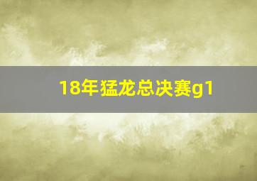 18年猛龙总决赛g1