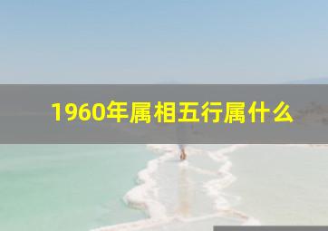 1960年属相五行属什么