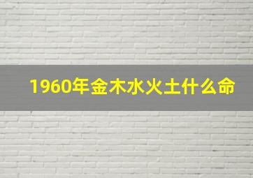 1960年金木水火土什么命