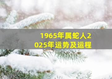 1965年属蛇人2025年运势及运程