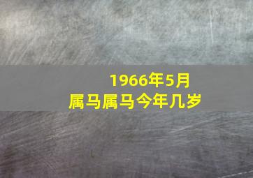 1966年5月属马属马今年几岁