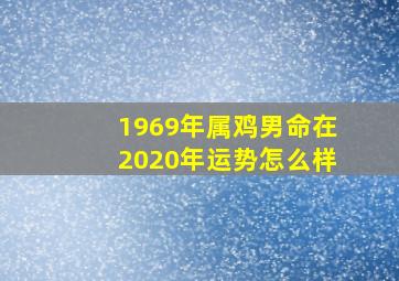 1969年属鸡男命在2020年运势怎么样