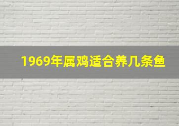 1969年属鸡适合养几条鱼