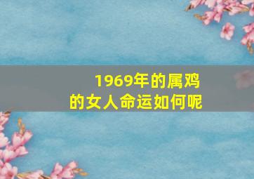 1969年的属鸡的女人命运如何呢