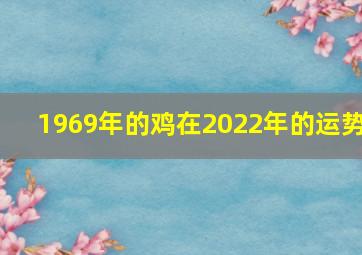 1969年的鸡在2022年的运势