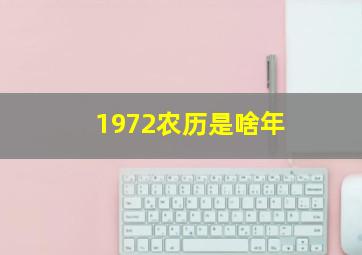 1972农历是啥年