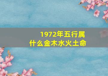 1972年五行属什么金木水火土命