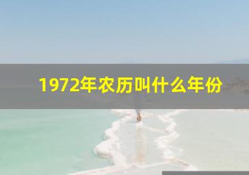 1972年农历叫什么年份