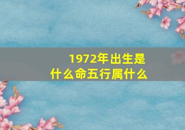 1972年出生是什么命五行属什么