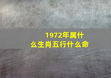 1972年属什么生肖五行什么命