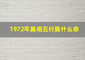 1972年属相五行属什么命