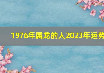 1976年属龙的人2023年运势