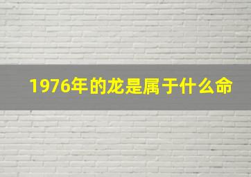 1976年的龙是属于什么命