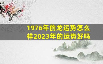 1976年的龙运势怎么样2023年的运势好吗