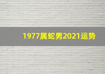 1977属蛇男2021运势