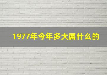 1977年今年多大属什么的