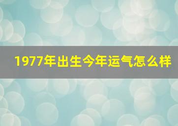 1977年出生今年运气怎么样