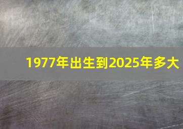 1977年出生到2025年多大