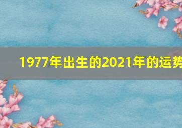 1977年出生的2021年的运势