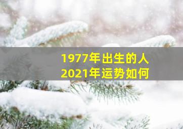 1977年出生的人2021年运势如何