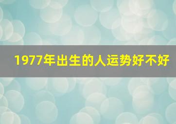 1977年出生的人运势好不好