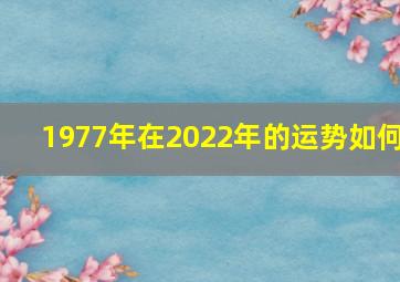 1977年在2022年的运势如何