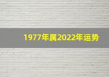 1977年属2022年运势