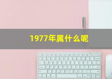 1977年属什么呢