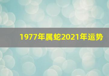 1977年属蛇2021年运势